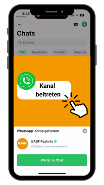 Offene Leuchtbox